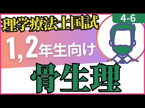 4-6　骨解剖生理