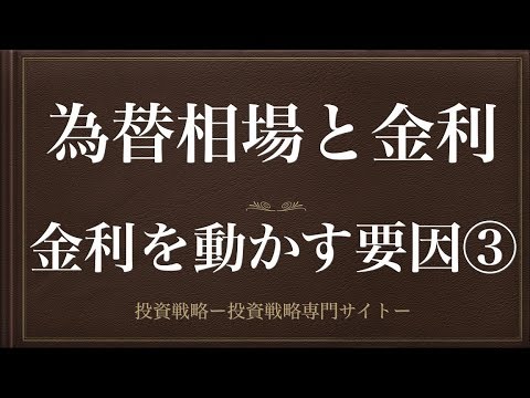 [動画で解説] 為替相場と金利（金利を動かす要因③）