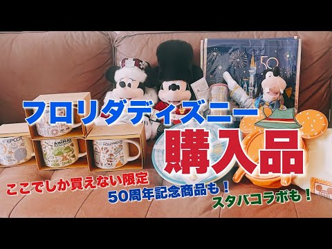 【海外ディズニー】フロリダディズニーの限定グッズ / レアな商品をご紹介 / 購入品紹介 / おすすめグッズ ＃disney #ディズニーパーク #ディズニーお土産