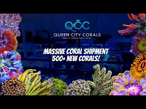 Massive Coral Update! 500+ New Corals!