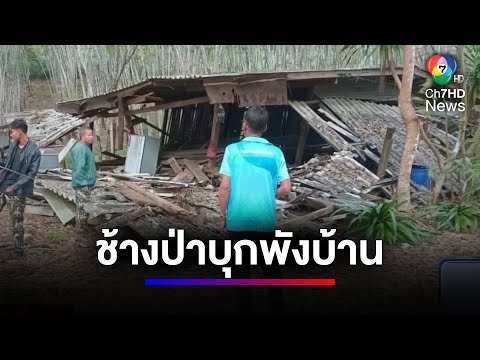 ช้างป่าเอาคืน พาพวกบุกพังบ้านเสียหาย หลังมีช้างถูกยิงล้มคาสวนยาง | สนามข่าว 7 สี