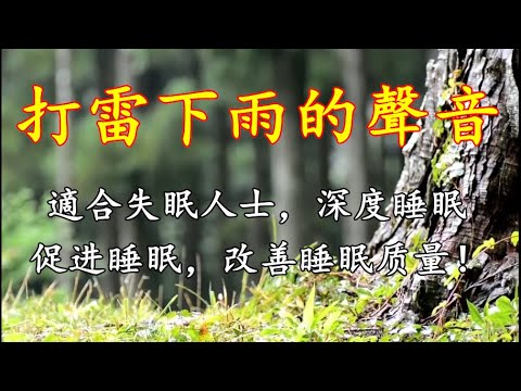 【现录编辑】打雷下雨的聲音，適合失眠人士，深度睡眠- 大自然的聲音 Rain Sounds，促进睡眠，改善睡眠质量！