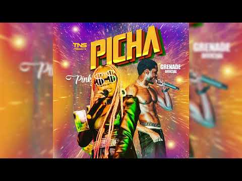 Grenade x Pinky - Picha ( Official Audio )