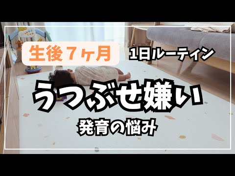 【生後7ヶ月】赤ちゃんとの1日｜ハイハイどころかうつ伏せ嫌い｜離乳食中期｜2回食