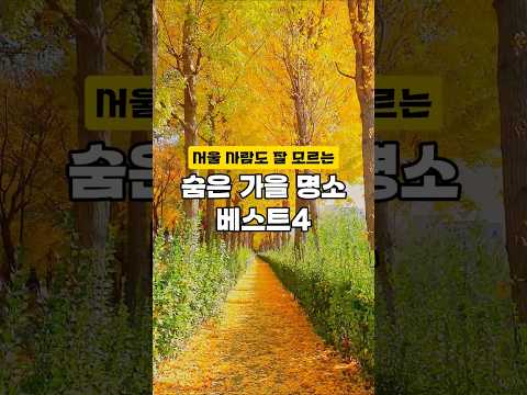 서울 사람도 잘 모르는 숨은 가을 명소 베스트4  #서울근교데이트 #대한민국구석구석 #서울데이트 #서울단풍 #국내여행추천 #여행에미치다 #가을가볼만한곳