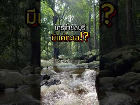 น้ำตกในชลบุรีที่มีดีไม่แพ้ทะเล #เที่ยวธรรมชาติ #เที่ยวไหนดี #เที่ยวไปเรื่อย #เที่ยวไทย #มาแล้วก็ไป