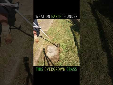 Edging This OVERGROWN Grass | Whats Underneath?