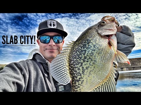 Wide Open Crappie Fishing!