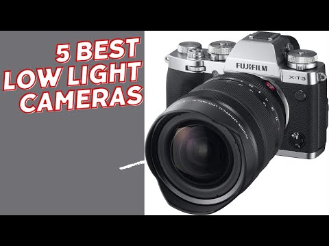 Unveiling the Secrets of the Best Low-Light Cameras.