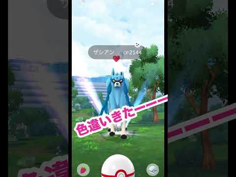 【ポケモンGO】ザシアン実装！色違いまさかの1回目で！？#ポケモンgo #ザシアン色違い