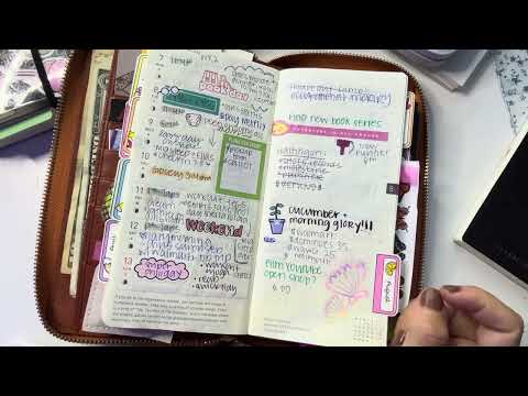 August Flipthrough Hobonichi Weeks Mega and Pocket Moleskine Daily