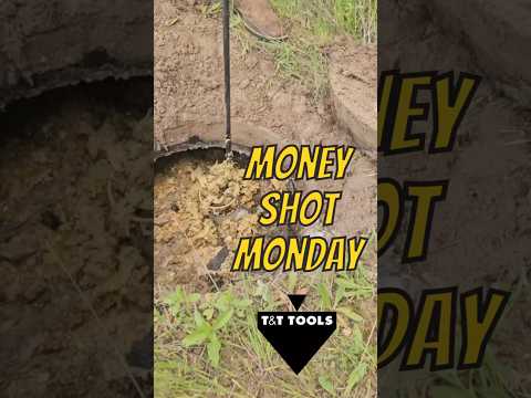 MoneyShotMonday 10/28/24 #shorts