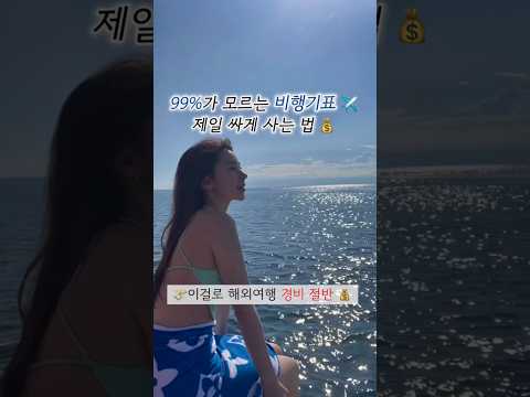 성수기 비행기표 가장 싸게 사는 방법