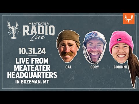 MeatEater Radio Live! | 10.31.24 | Hunters & the Election, Upland Bird Numbers, and Porcupine Mating