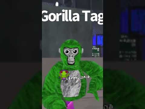 Gorilla Tag Vr trend #gorillatag #monkeydoo #vrfun #metaquest3 #shorts #viralvideos