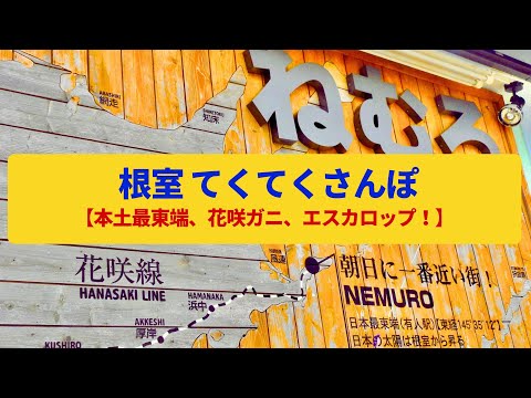 【てくてくさんぽ】根室 本土最東端の最果て、坂道と異国情緒〈花咲ガニ、エスカロップ〉Walk around Nemuro,HOKKAIDO JAPAN