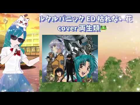 枯れない花 cover 両生類🐸 フルメタル・パニック！ ED 懐かしのアニソン 2000年代 平成アニソン