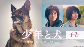 映画『少年と犬』予告映像【2025年3月20日(木・祝)公開】