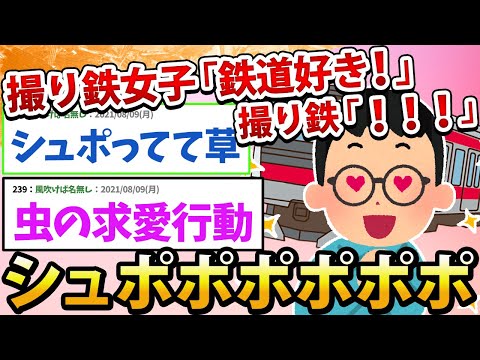 【2ch面白いスレ】女「撮り鉄やってますw」ﾊﾟｼｬｯ 撮り鉄「！！」ｼｭﾎﾟﾎﾟﾎﾟﾎﾟﾎﾟ!!!