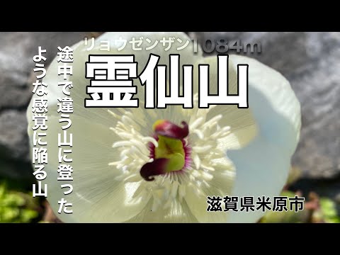 ￼【低山とは思えない景色の変化が凄い】￼霊仙山1084m｜滋賀県米原市｜￼