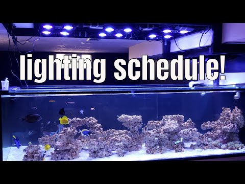 LIGHT SETTING FOR MY MARINE AQUARIUM