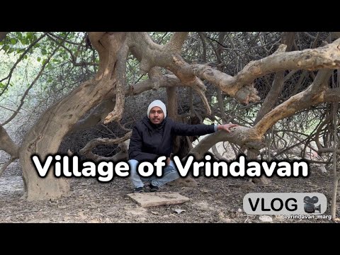 Village of Vrindavan : बेलमन की फेमस खिचड़ी 🥹