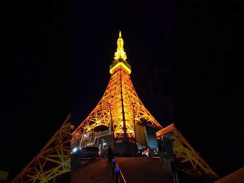 Tokyo Tower #travel #japan #tokyo #tokyotower #shorts