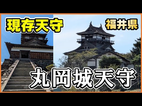 福井の歴史遺産！現存12天守・丸岡城の伝説と最新観光スポットを一挙公開