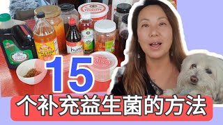 15种食品和方法补充益生菌， 建立健康肠道菌群， 提供免疫力! 15 ways to build better gut microbiome and improve immunity