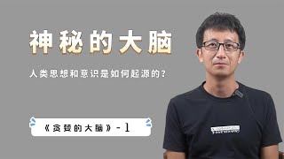 大脑是宇宙中最复杂的东西，大脑是如何一步步进化出来的？【小播读书】