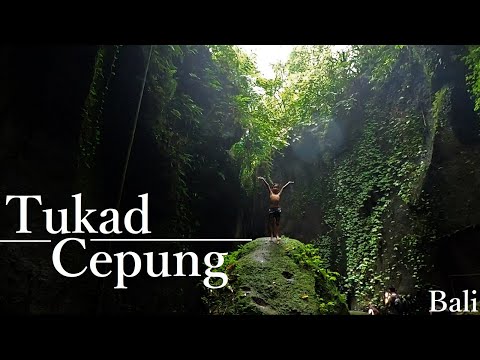 【バリ島・家族旅行】どっぷり森林浴『トゥカッ・チュプンの滝 / Tukad Cepung Waterfall』