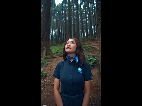 6E Tours | City Tour Darjeeling | West Bengal | Cabin Crew | IndiGo 6E