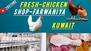 Farwaniya Al Kuwait | Chicken Shop | Poultry Shop | Fresh Chicken