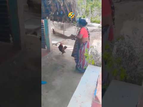 ଦେଖନ୍ତୁ କୁକୁଡା ଆଉ ମଣିଷ ଲଢେଇ🤣🤣🤣 #funny #funnyvideo #funnyshorts #manvswildcomedy #hen #vs #woman