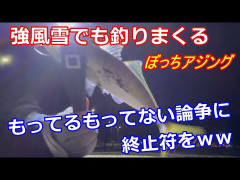 【アジング】暴風雪の中でも良型を釣りまくる！【山陰】釣り仲間あるある、もってるもってない論争に終止符を！笑【エギングロッド】