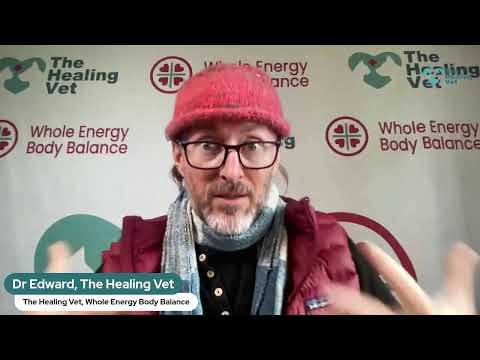 Help your pets with The Healing Vet #26 - Vulnerability and Faith