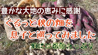 秋の畑を息子と巡る／秋の恵みに大感謝