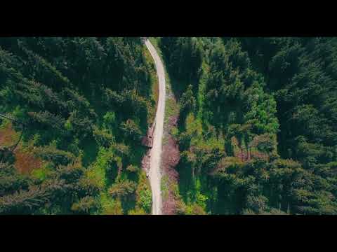 Drone Over Mountain Forest | Copyright Free Video Footage