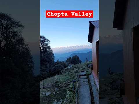 #chopta #choptavalley #travel #ytshorts #shorts #morning #fog #himalayas