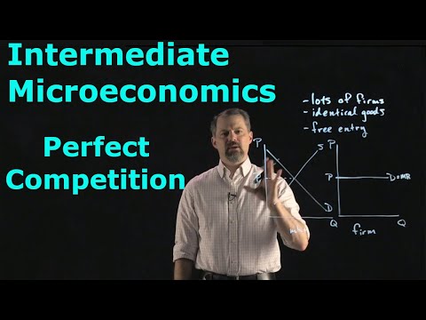 Intermediate Microeconomics: Perfect Competition