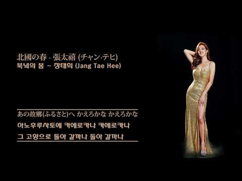 北國の春 - 張太禧 (チャン·テヒ) 북녘의 봄 - 장태희 (Jang Tae Hee)