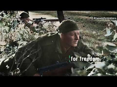 Our Freedom (War Time Scenes) - 2020 Remembrance