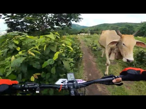 Full MTB racing