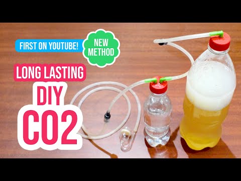 Build a Long Lasting DIY CO2 System for Your Planted Aquarium 🌿🫧