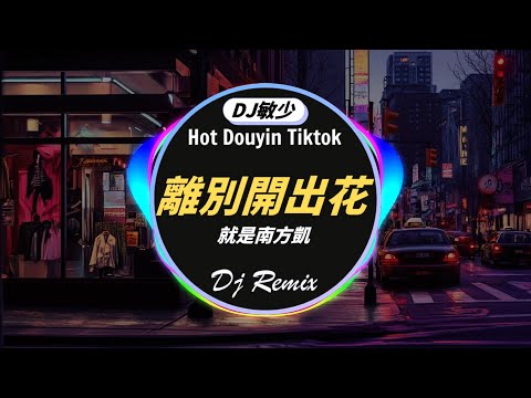 🎧最好的音乐Chinese DJ 🎼 2024全中文舞曲串烧【 DJ抖音版 2024】2024夜店舞曲🔝離別開出花 - 就是南方凱 / 浩然H.R - 年少的你啊 / 西柚 - 红色高跟鞋