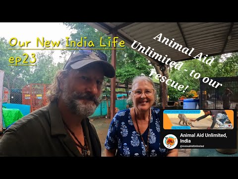 Our New India Life. ep23 Animal Aid Unlimited - to our rescue!