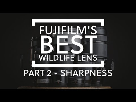 What is Fujifilm's sharpest lens for wildlife photography - PART 2 - Sharpness