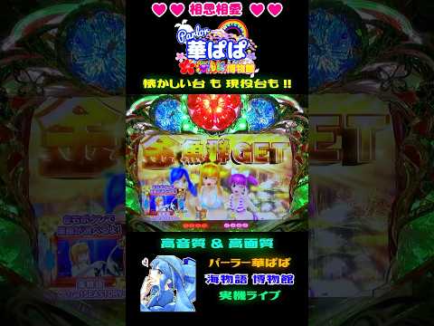 😋一粒で二度美味しい😋🎯大当り🎯＆✨保留連濃厚✨🌺スーパー海物語 IN 沖縄4 with アイマリン🌺【 パーラー華ぱぱ・海物語 博物館 】ショート動画 #shorts