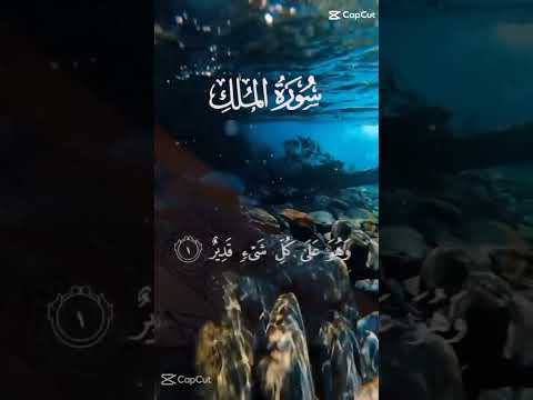 surah al mulk(penolong di azab kubur)