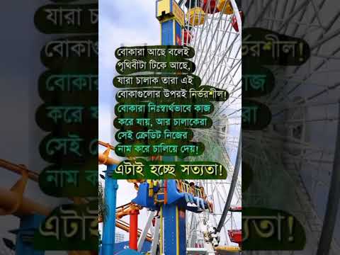 এটাই হচ্ছে সত্যতা ❗#shorts